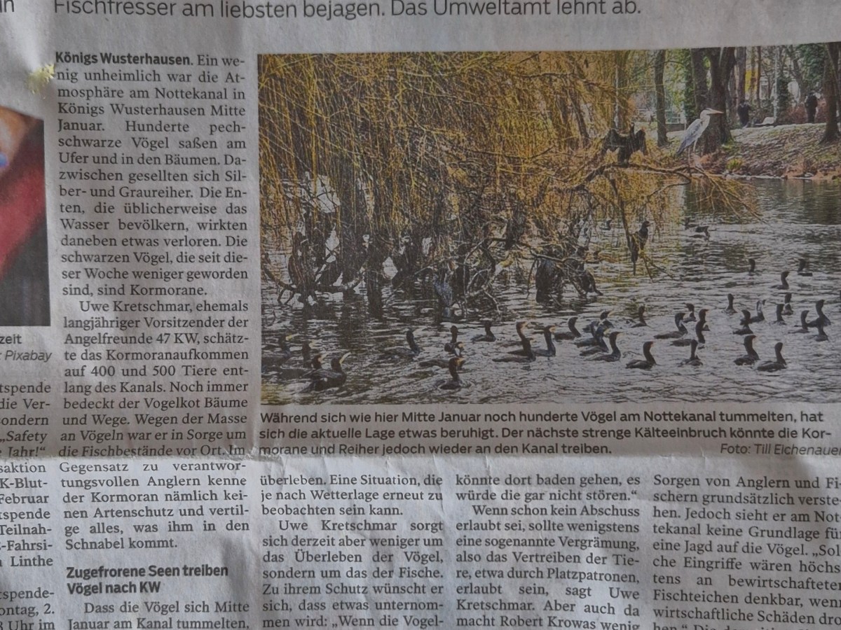 Sorge um die&nbsp;Fische